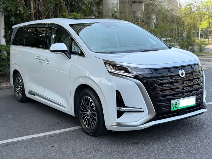 Фото 2 - Denza D9