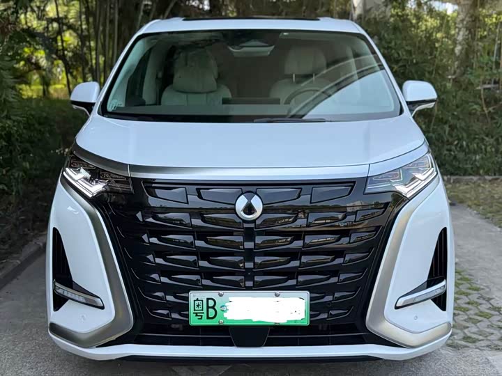 Фото 3 - Denza D9