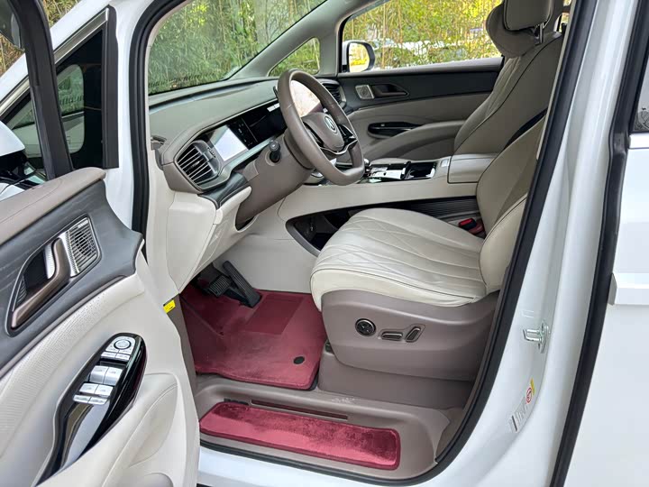 Фото 8 - Denza D9