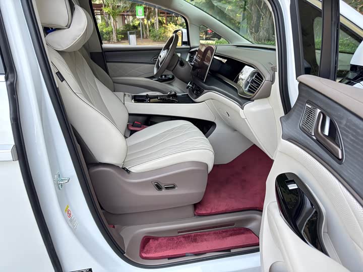 Фото 9 - Denza D9