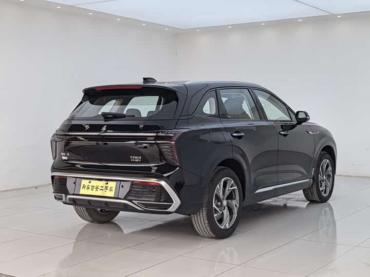 Photo 6 - Hongqi HS3 Hybrid