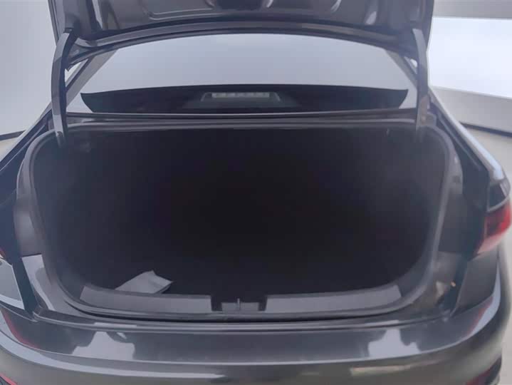 Фото 4 - Volkswagen Sagitar L