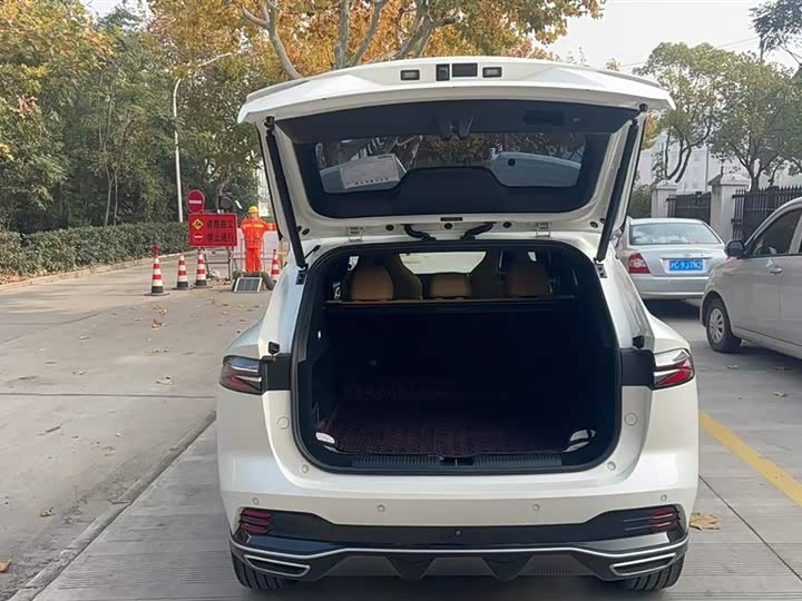 Фото 8 - Roewe RX5