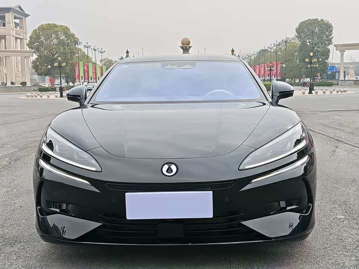 Фото 2 - Denza Z9GT