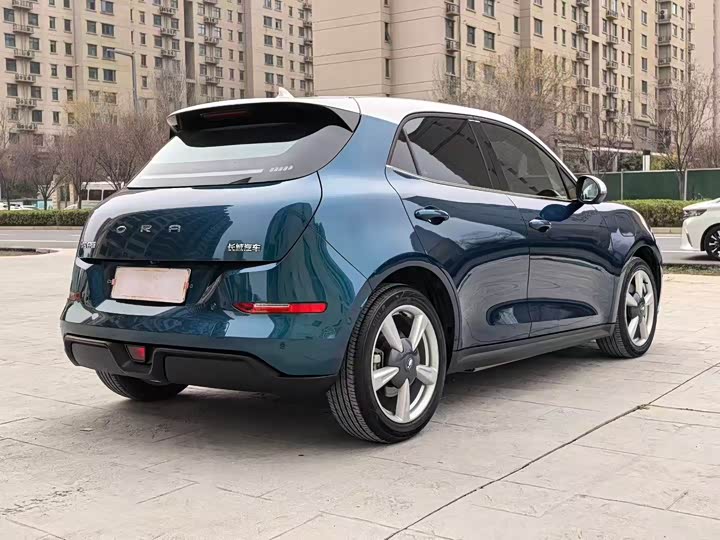 Фото 7 - Ora Good Cat (03)