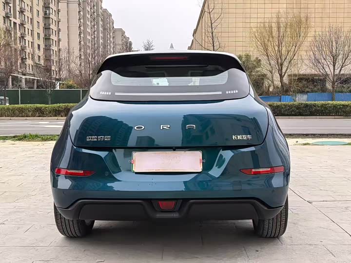 Фото 8 - Ora Good Cat (03)