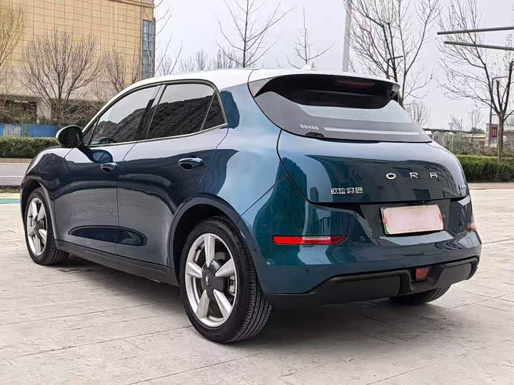 Фото 9 - Ora Good Cat (03)