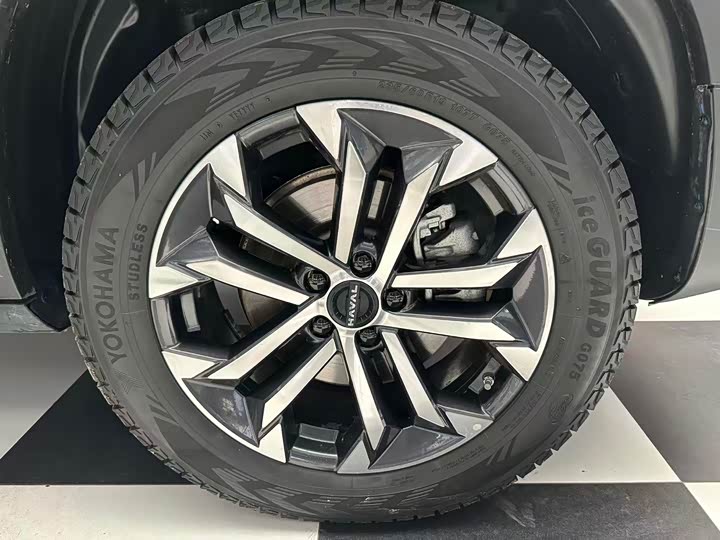 Фото 5 - Haval Dargo