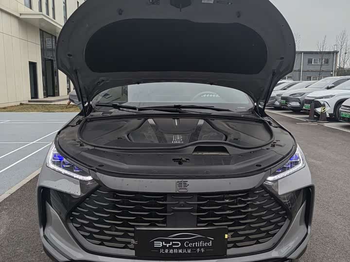 Фото 2 - BYD Tang Hybrid/EV