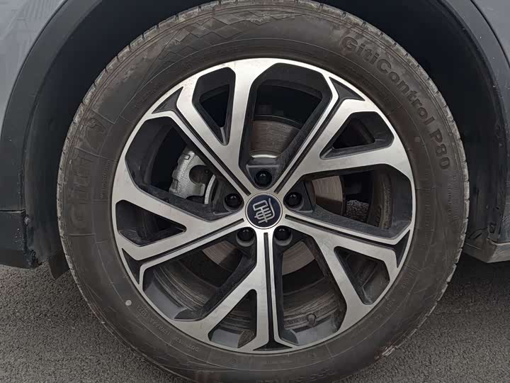 Фото 4 - BYD Tang Hybrid/EV