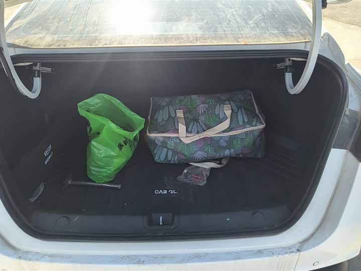 Photo 4 - Geely Binrui