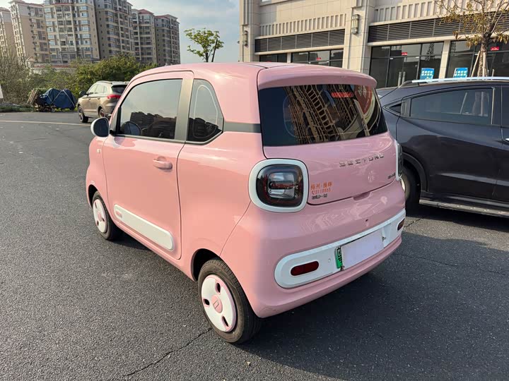 Фото 7 - Bestune Pony