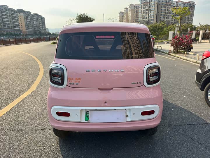 Фото 8 - Bestune Pony