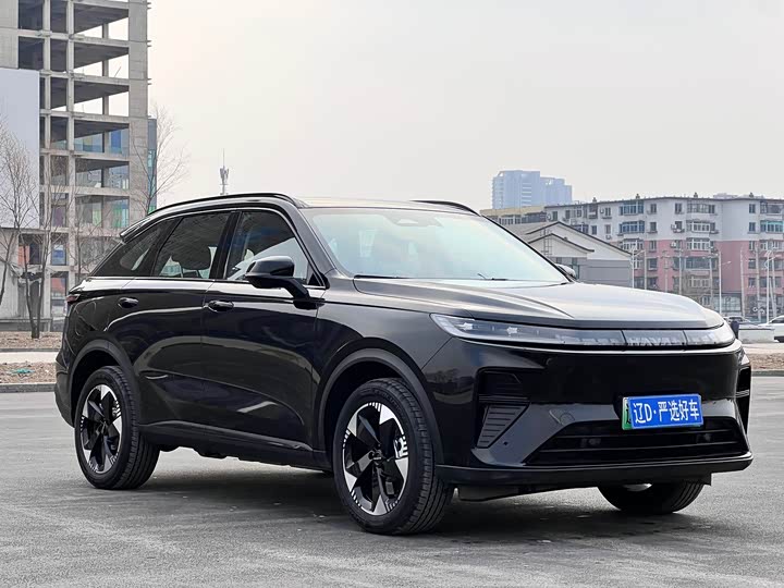 Photo 3 - Haval Ruge Max