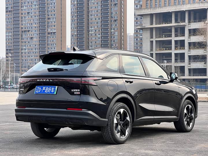 Photo 4 - Haval Ruge Max