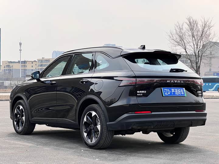 Photo 6 - Haval Ruge Max