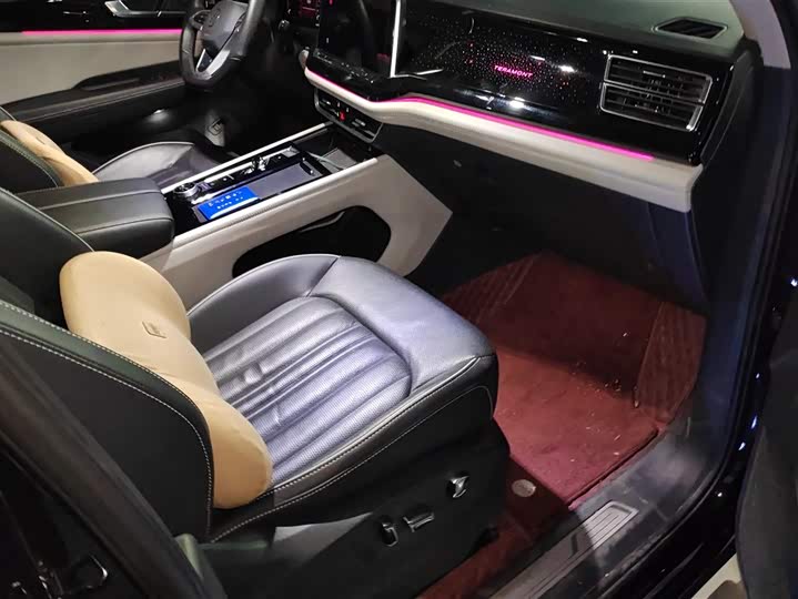 Photo 8 - Volkswagen Teramont Pro