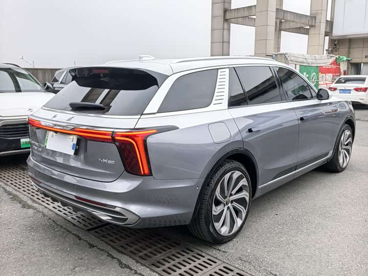 Фото 4 - Hongqi E-HS9