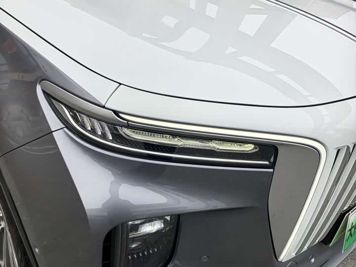 Фото 6 - Hongqi E-HS9