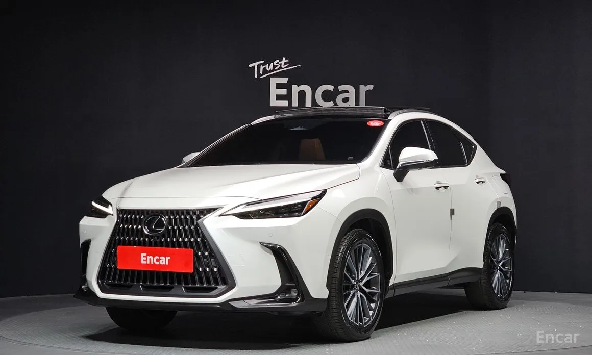 Фото 1 - Lexus NX