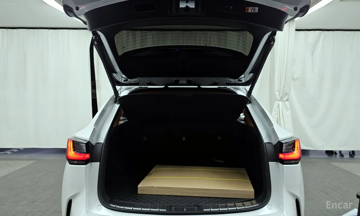 Фото 20 - Lexus NX