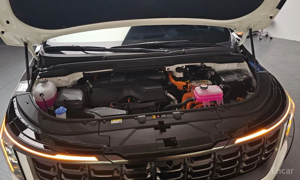 Фото 6 - Kia Carnival