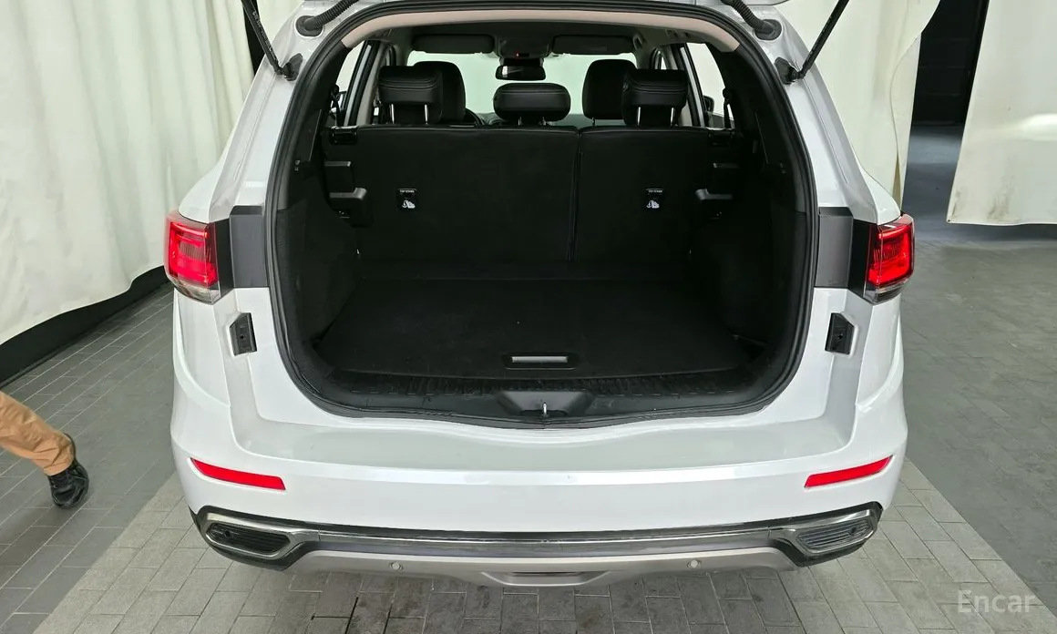 Фото 20 - Renault QM6