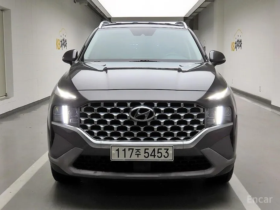 Фото 1 - Hyundai Santa Fe