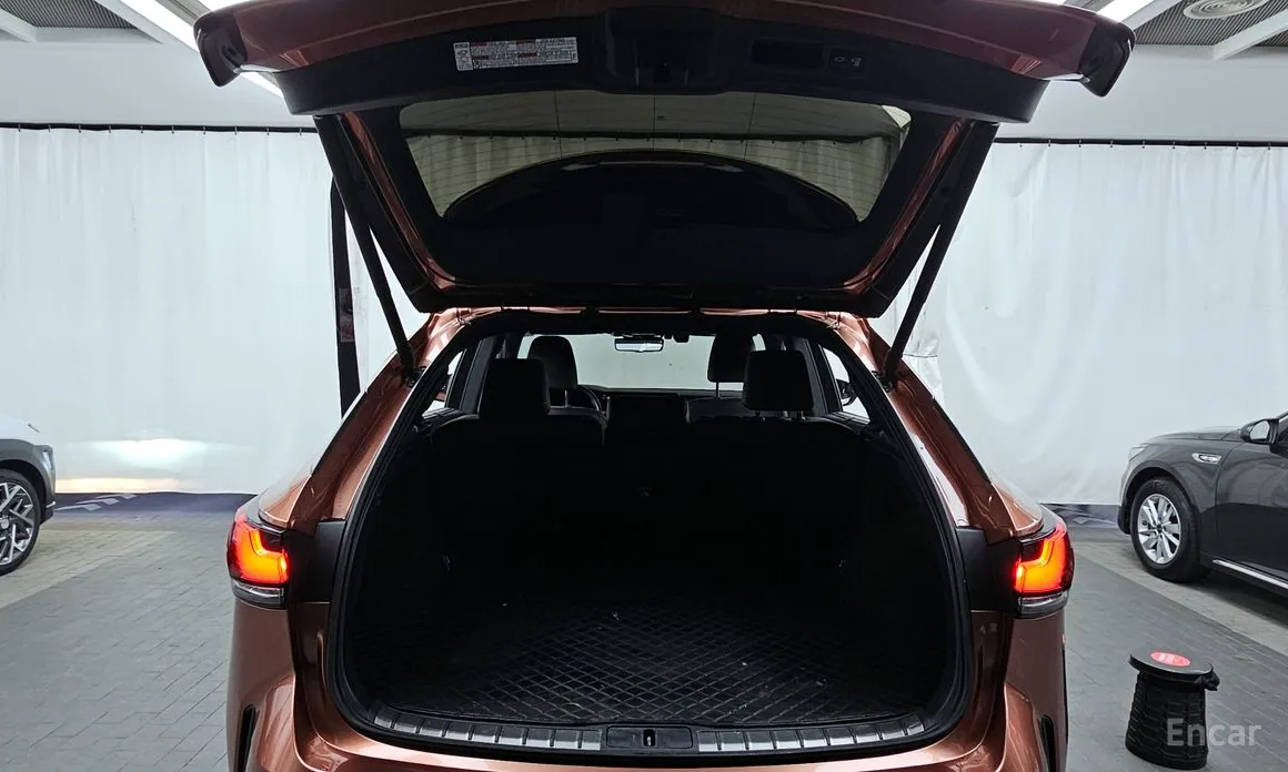 Фото 20 - Lexus RX