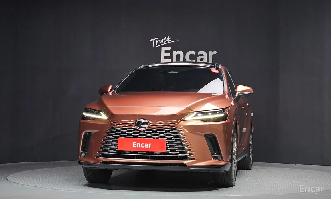 Фото 3 - Lexus RX