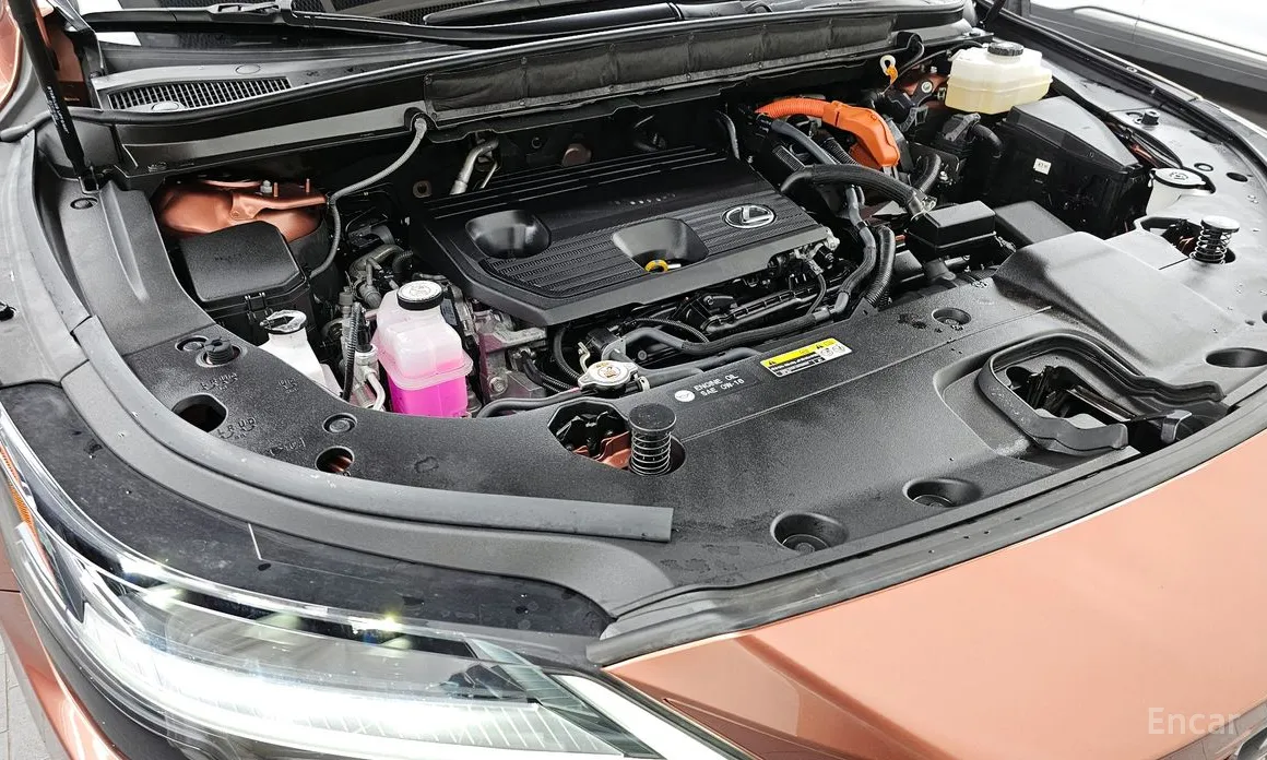 Фото 6 - Lexus RX