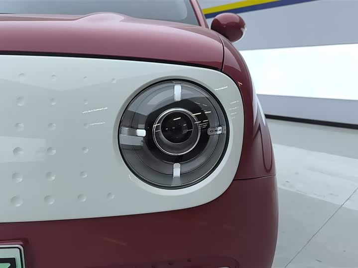 Photo 5 - Ora Black Cat