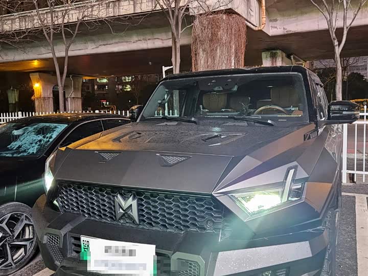 Фото 3 - Dongfeng Mengshi M-Hero 917