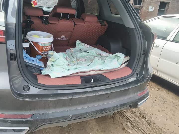 Фото 4 - Changan CS75 Plus