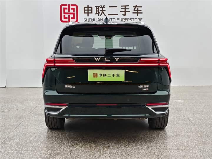 Фото 3 - Wey Lanshan