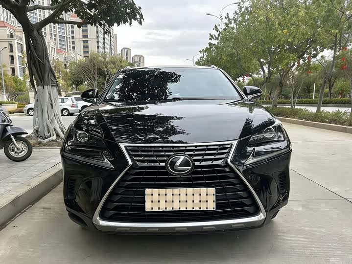 Фото 2 - Lexus NX