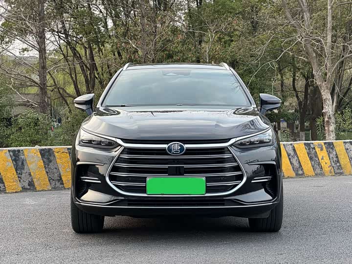 Фото 2 - BYD Tang Hybrid/EV