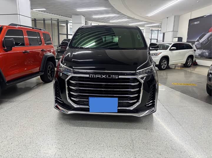 Фото 2 - Maxus G20