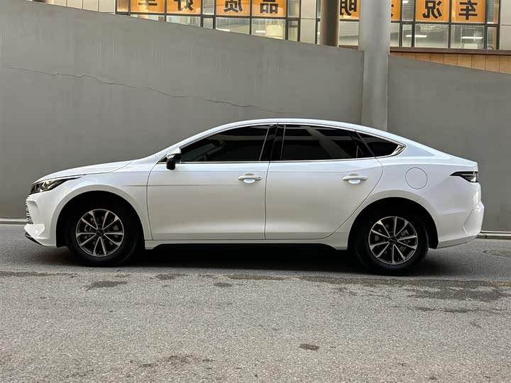 Фото 3 - BYD Destroyer 05