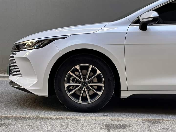 Фото 6 - BYD Destroyer 05