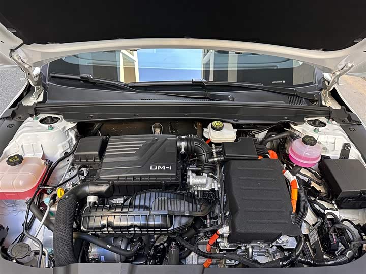 Фото 7 - BYD Destroyer 05