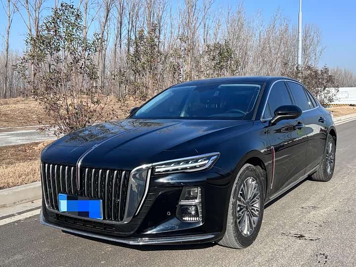 Фото 1 - Hongqi H5