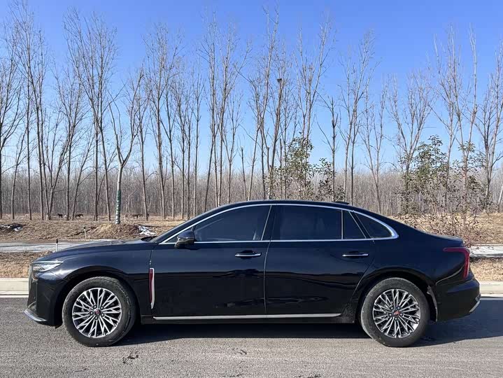 Фото 3 - Hongqi H5