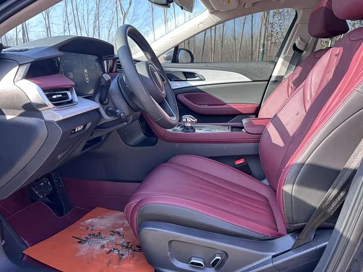 Фото 4 - Hongqi H5