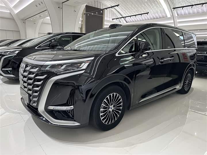 Фото 1 - Denza D9