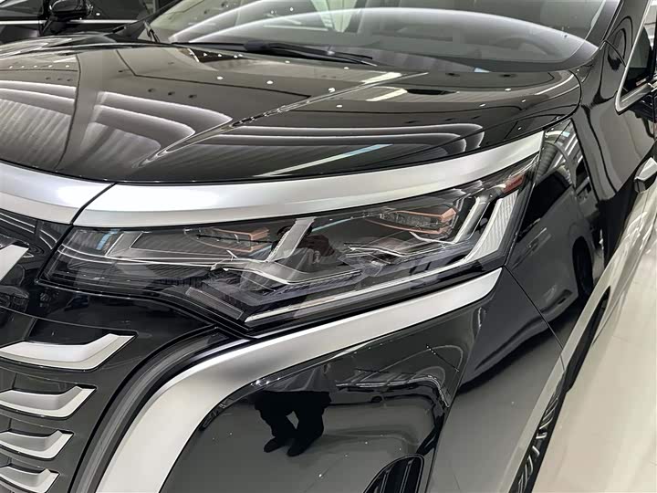 Фото 2 - Denza D9