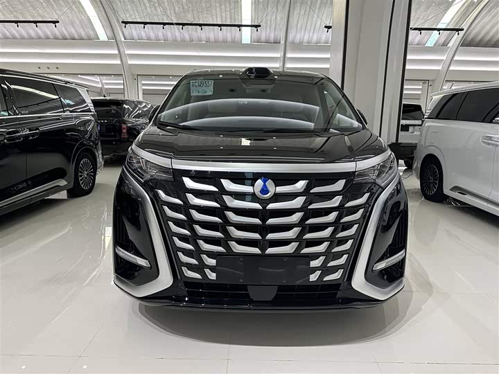 Фото 3 - Denza D9