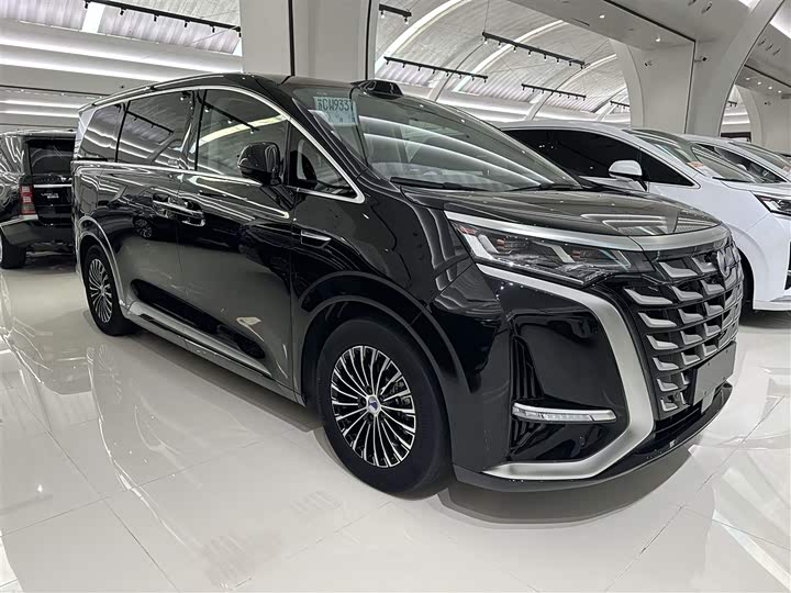 Фото 4 - Denza D9