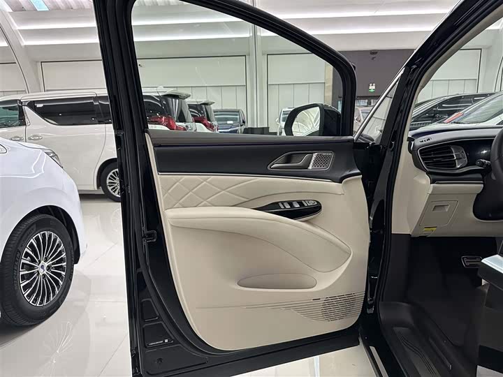 Фото 6 - Denza D9