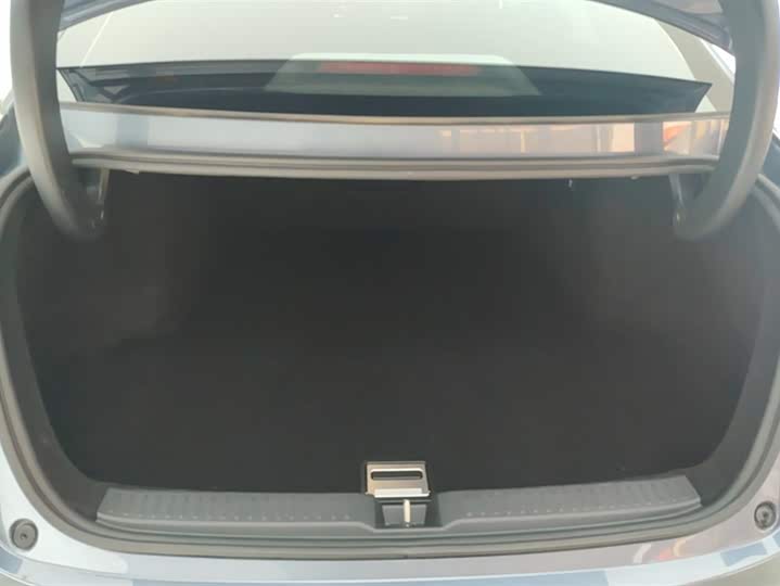 Фото 4 - XPeng P5